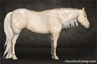 Horse Color:White Spotted Palomino Pearl 
