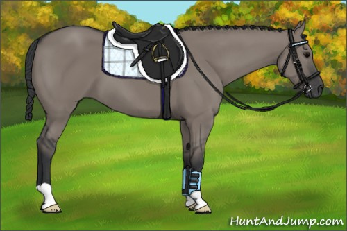 Horse Color: Grullo 