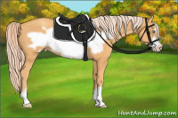 Horse Color:Gold Cream Champagne Frame 