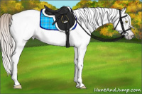 Horse Color:Gray White Spotted Silver Amber Champagne 