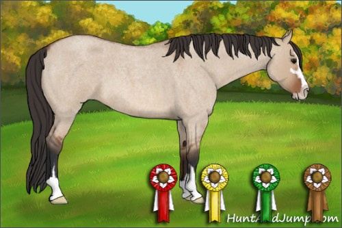Horse Color: Bay Roan Dun Sabino 