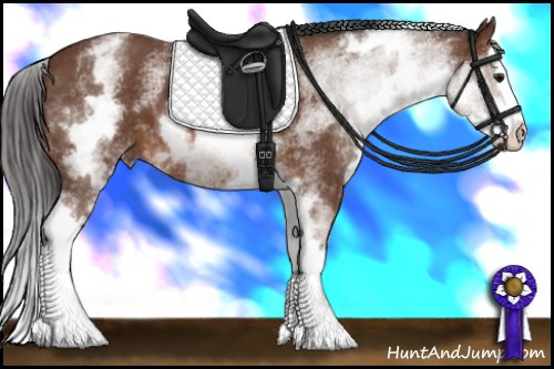 Horse Color: White Spotted Bay Splash 