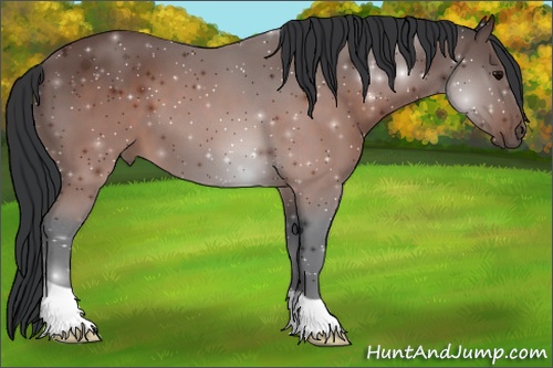 Horse Color: Brown 