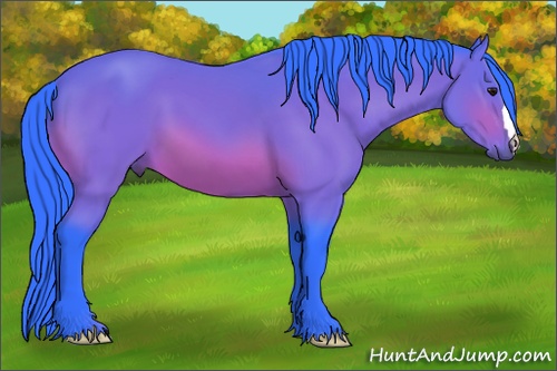 Horse Color: Watercolor Bay 
