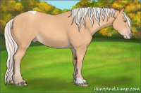 Horse Color:Silver Amber Champagne Tobiano 