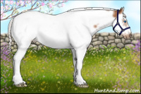 Horse Color:Silver Bay Splash Tobiano Frame