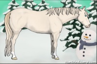 Horse Color:Perlino 