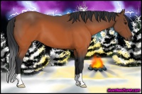 Horse Color:Brown 