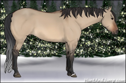 Horse Color: Bay Dun 