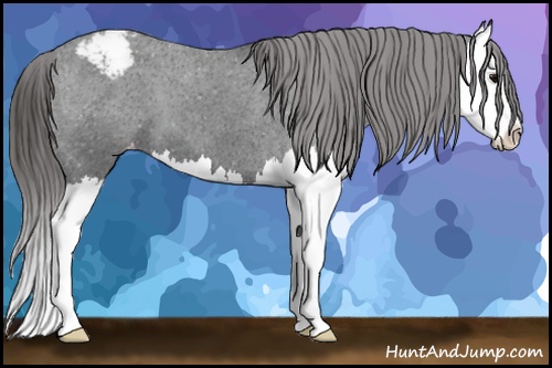 Horse Color: Black Splash Snowcap 