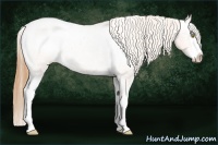 Horse Color:Bay Ice Roan Pearl Splash Varnish 