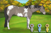 Horse Color:Grullo Tobiano Frame 