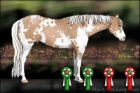 Horse Color:White Spotted Silver Black Pearl Sabino