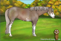 Horse Color:Unknown 