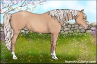 Horse Color:Silver Sable Champagne 