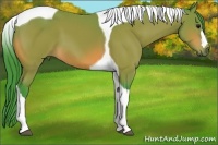 Horse Color:Watercolor Bay Tobiano 