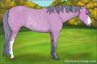 Horse Color:Watercolor Buckskin Rabicano 