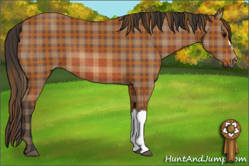 Horse Color: Plaid  Bay 