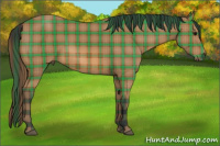 Horse Color:Plaid  Bay 