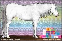 Horse Color:Blue Ice Roan Splash Frame Appaloosa