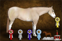 Horse Color:Grullo Pearl Sabino