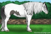Horse Color:Grullo Splash Tobiano 