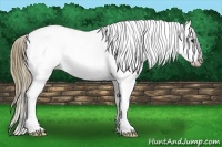 Horse Color:White Spotted Smoky Blue Roan Frame Blanket 