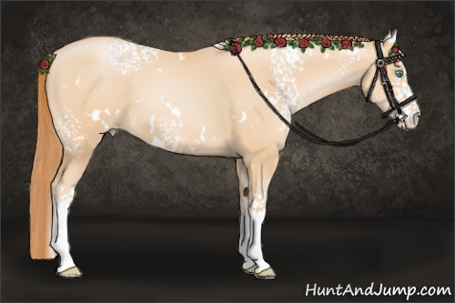 Horse Color: White Spotted Buckskin Pearl 
