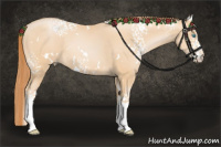 Horse Color:White Spotted Buckskin Pearl 
