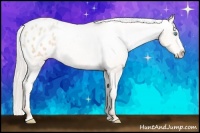 Horse Color:Silver Sable Cream Champagne Pearl Blanket 