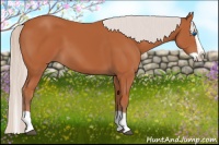 Horse Color:Silver Bay Splash 