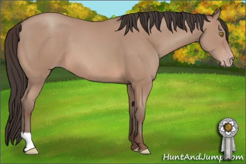Horse Color: Sable Champagne 