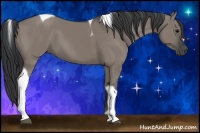 Horse Color:Grullo Tobiano 