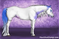 Horse Color:Watercolor Bay Splash Tobiano Frame 