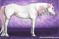 Horse Color:Watercolor Bay Splash Tobiano Frame Appaloosa