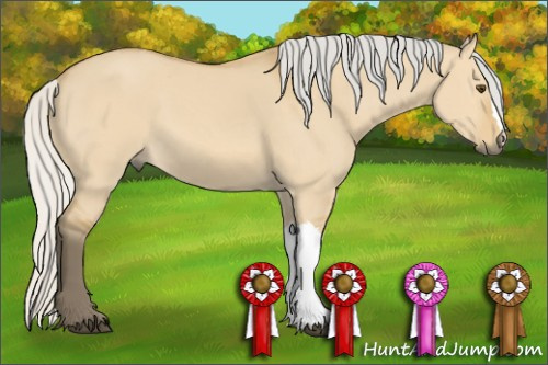 Horse Color: Silver Buckskin Dun 