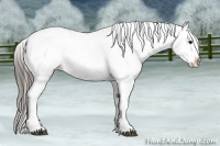 Horse Color:White Spotted Black Splash Tobiano Frame Varnish 