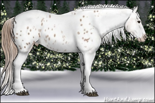 Horse Color: White Spotted Black Pearl Splash Tobiano Frame Blanket 