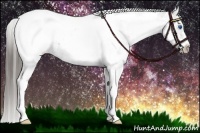 Horse Color:White Spotted Black Splash Tobiano Frame Appaloosa