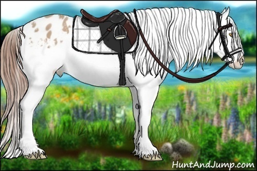 Horse Color: Amber Champagne Snowflake Varnish 