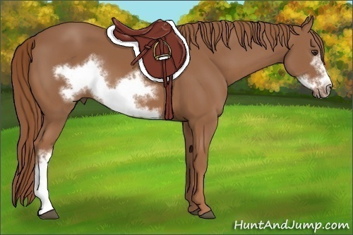 Horse Color:Chestnut Frame