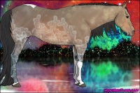 Horse Color:Bay Ice Sabino Tobiano 