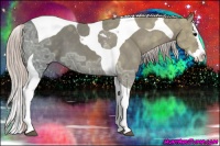 Horse Color:Silver Black Ice Splash Tobiano 