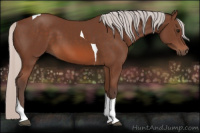 Horse Color:Silver Bay Tobiano