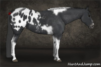 Horse Color:Brown Tobiano Frame Blanket 