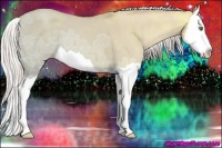 Horse Color:Silver Classic Champagne Ice Dun Splash 