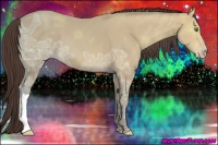 Horse Color:Sable Cream Champagne Ice 