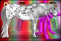 Horse Color:White Spotted Black Splash Tobiano Frame Near Leopard 