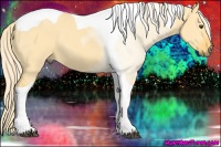 Horse Color:Palomino Dun Tobiano 
