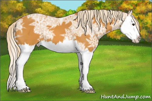 Horse Color: Chocolate Palomino Ice Splash 
